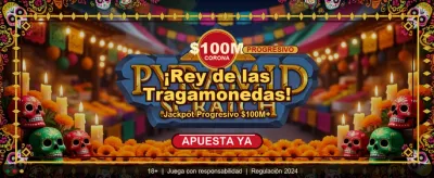 Siente la emoción del casino